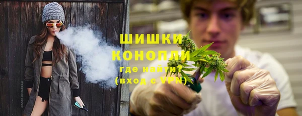 спайс Алексин