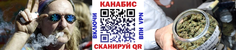 где продают   Суджа  OMG   Канабис сатива 